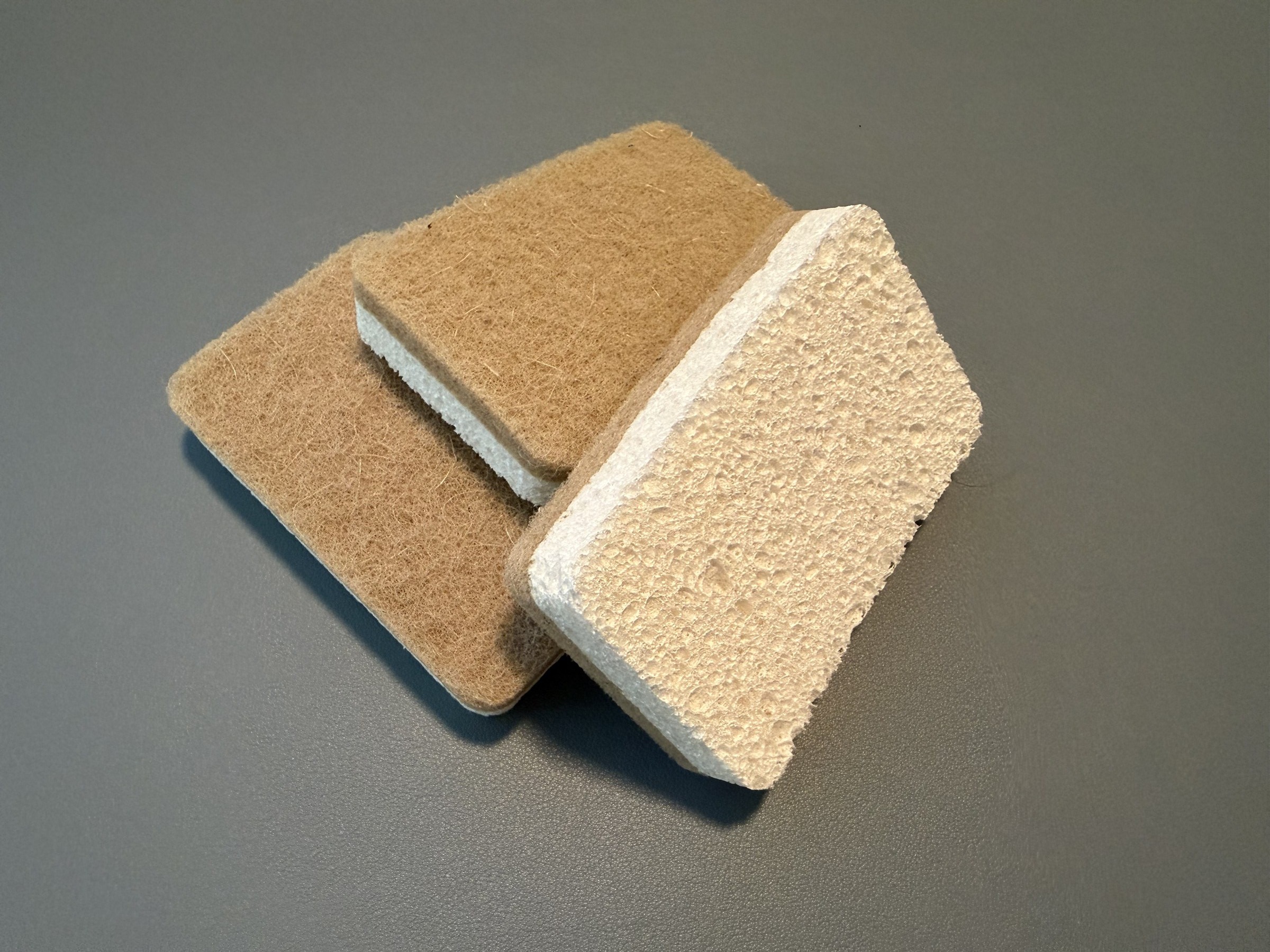Plant-Based Sponge — Compostable sponge for everyday cleaning.